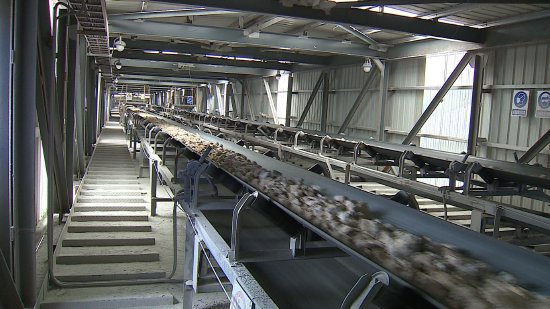 在武宣柳钢新材料科技有限公司生产线上,白云石原材料被源源不断送往煅烧炉。