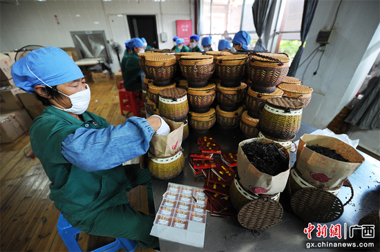 图为工人在广西梧州市一家六堡茶生产车间里将茶叶分类包装。 拥有1500多年历史的广西梧州六堡茶以其独特的“红、浓、陈、醇”蜚声海内外。梧州市官方供图